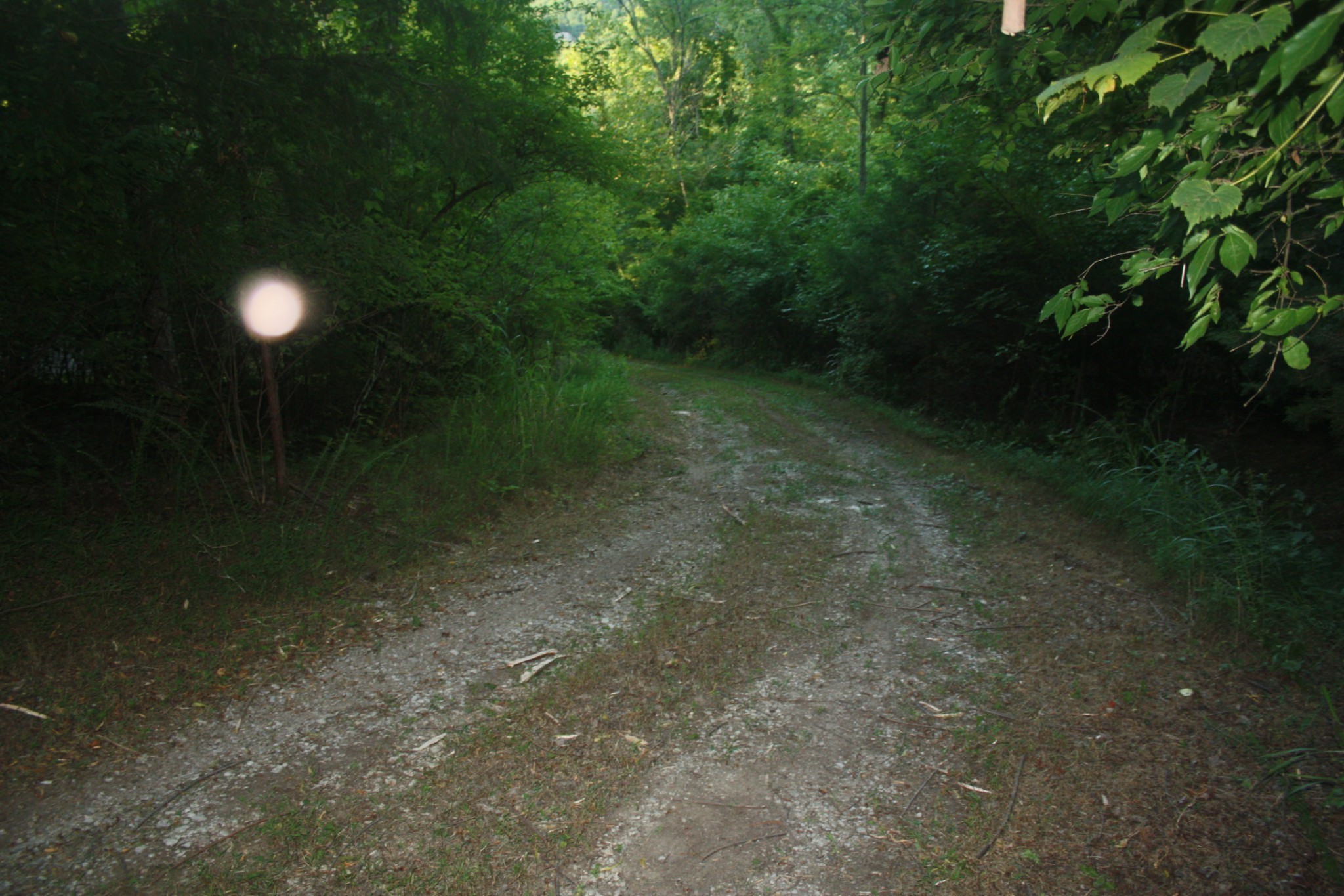 1225 Hidden Valley Road Franklin, TN 37069 - Photo 16 of 21