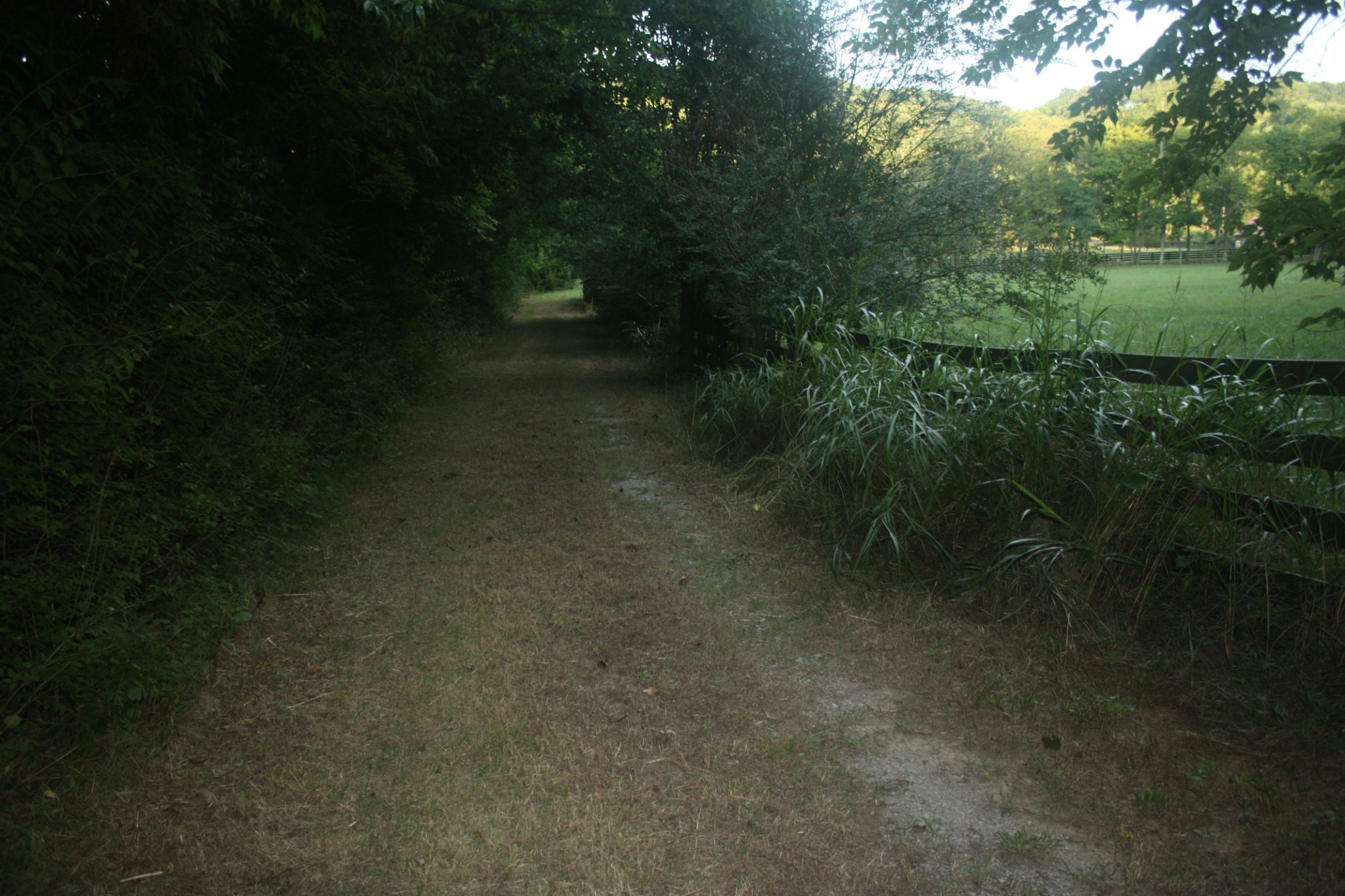 1225 Hidden Valley Road Franklin, TN 37069 - Photo 19 of 21