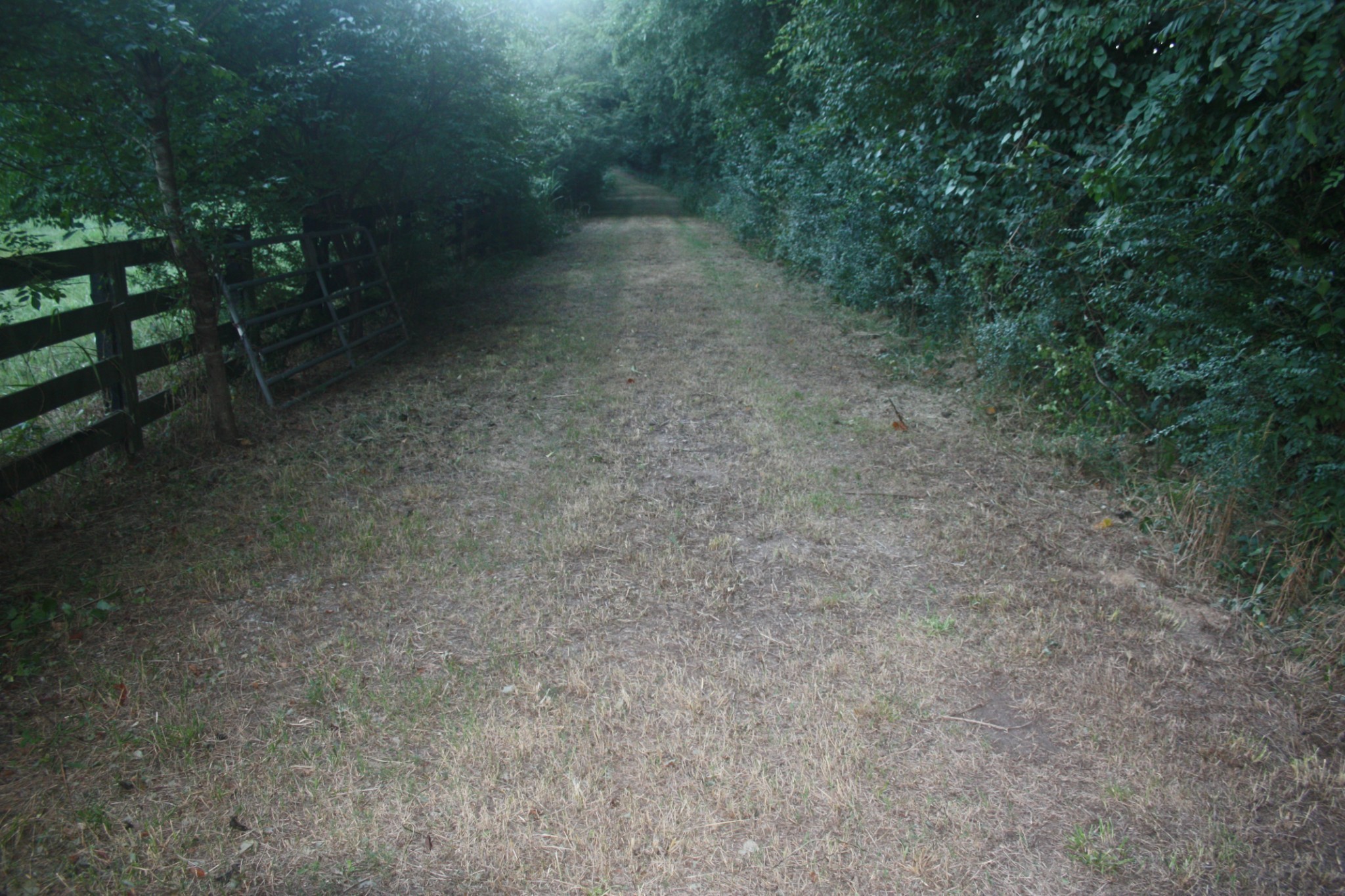 1225 Hidden Valley Road Franklin, TN 37069 - Photo 5 of 21