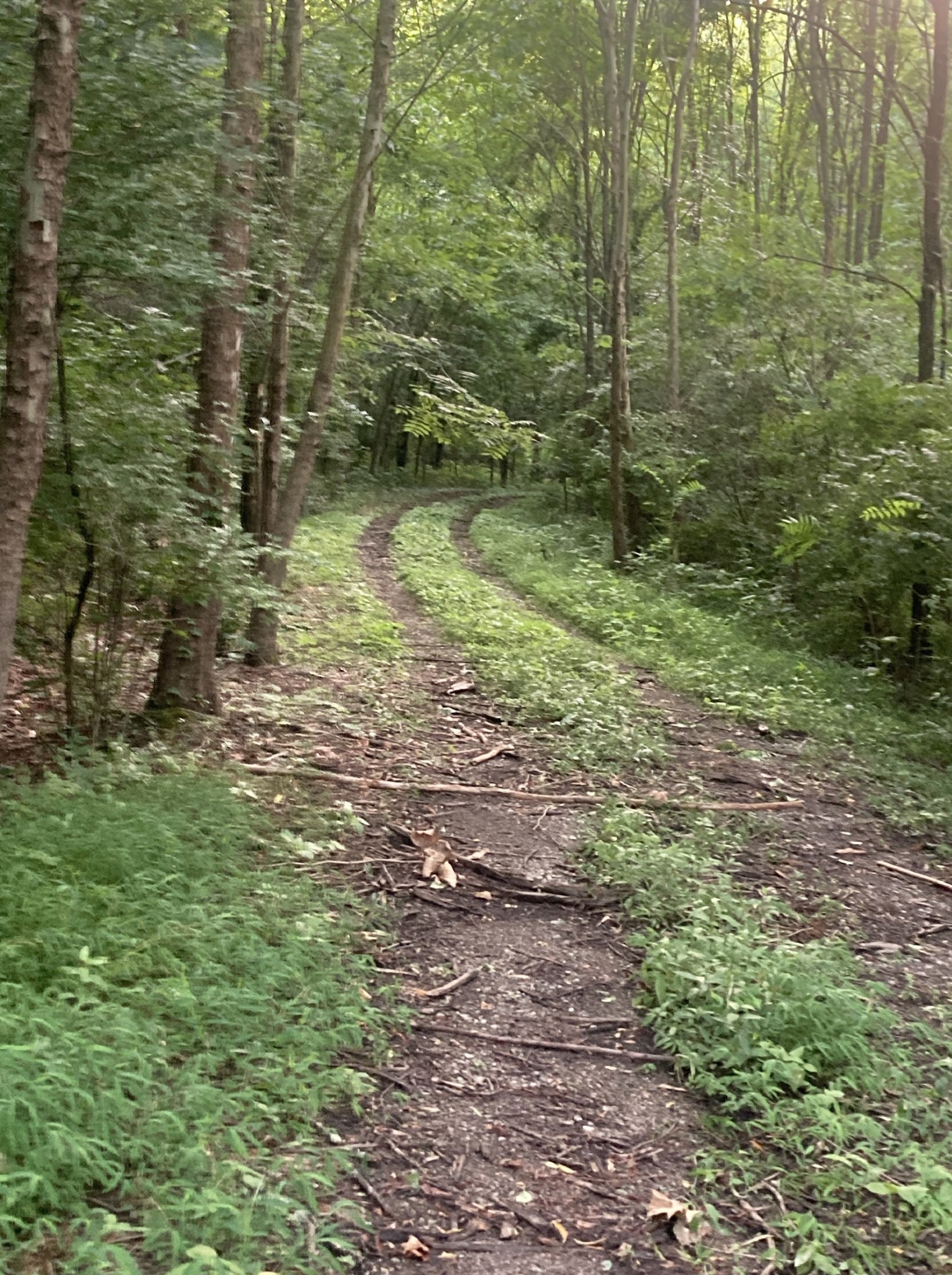 1225 Hidden Valley Road Franklin, TN 37069 - Photo 6 of 21