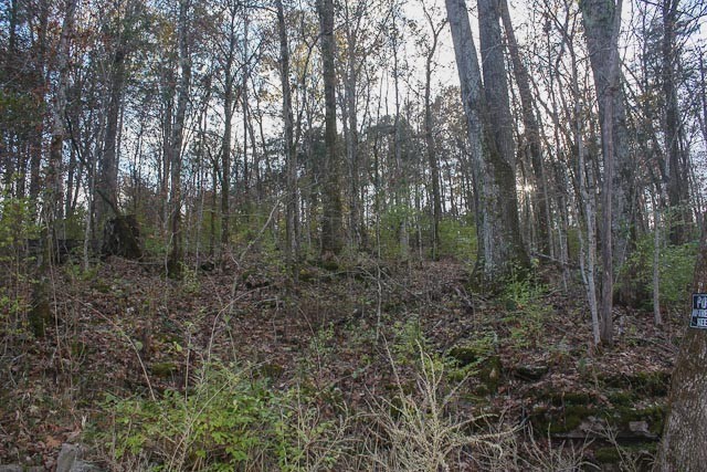 1225 Hidden Valley Road Franklin, TN 37069 - Photo 7 of 21