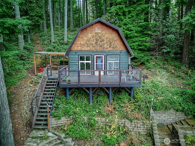 a view of a backyard with plants and large trees