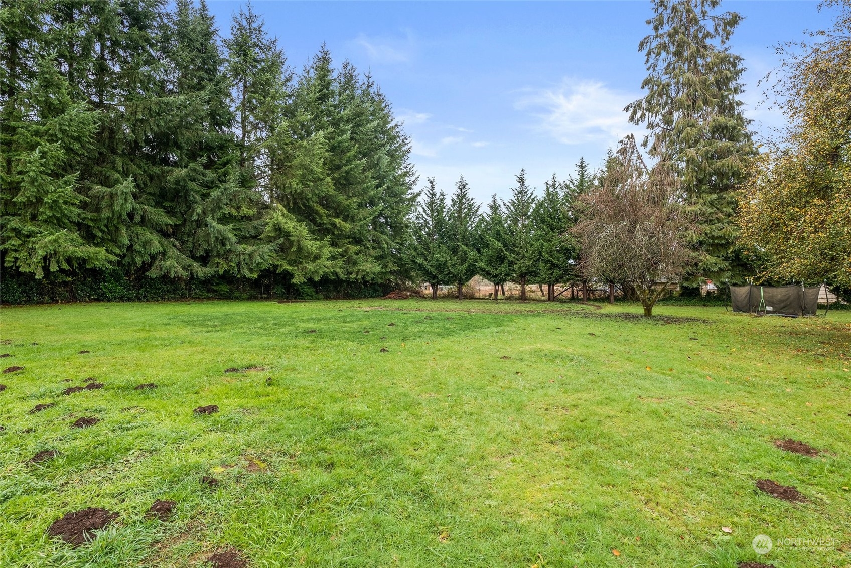 830 Gish Road Onalaska, WA 98570 - Photo 31 of 34 Gallery Image 31