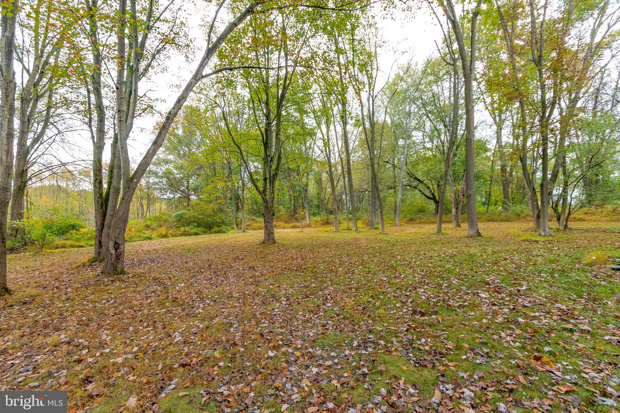465 North Mill Road Kennett Square, PA 19348 - Photo 8 of 25 Acres of beautiful land!