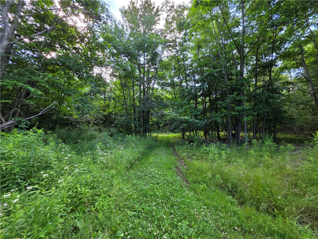 4679 Cook Road Woodhull, NY 14898 - Photo 47 of 49