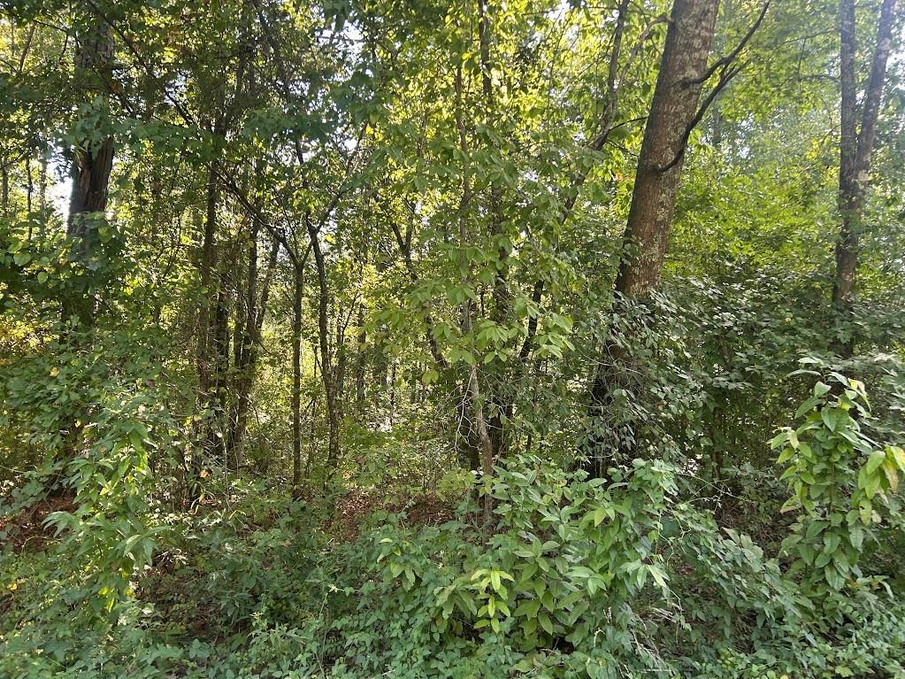 0 Springer Road Whitesburg, GA 30185 - Photo 10 of 12 Gallery Image 10