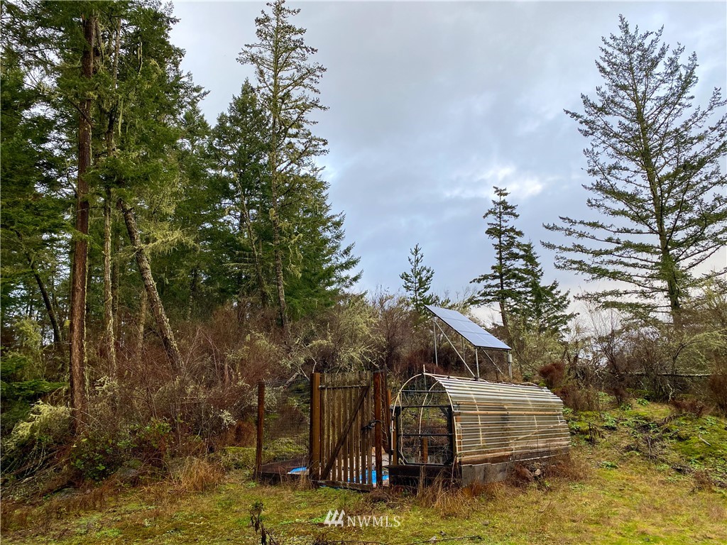 241 Riddle Lane Orcas Island, WA 98280 - Photo 11 of 20 Gallery Image 11