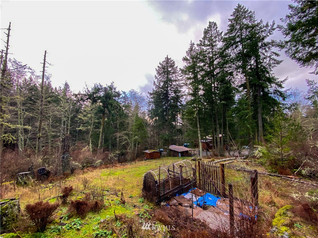 241 Riddle Lane Orcas Island, WA 98280 - Photo 12 of 20 Gallery Image 12