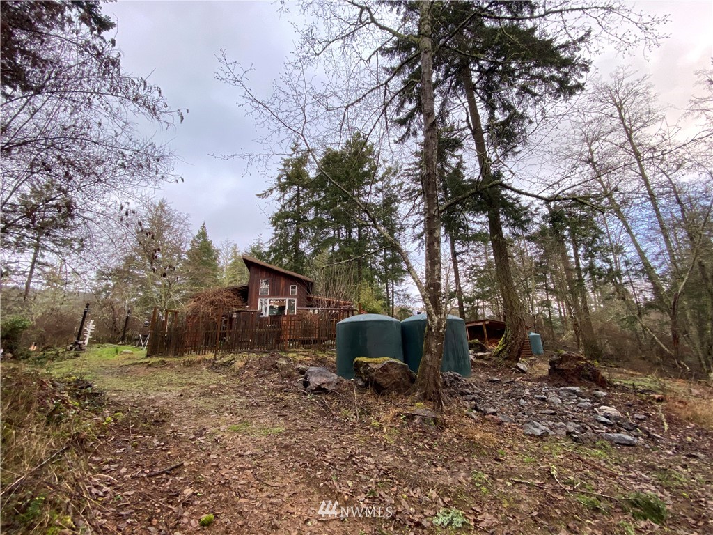 241 Riddle Lane Orcas Island, WA 98280 - Photo 6 of 20 Gallery Image 6