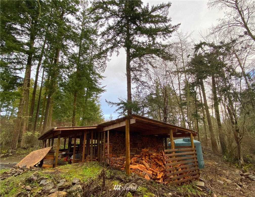 241 Riddle Lane Orcas Island, WA 98280 - Photo 9 of 20 Gallery Image 9