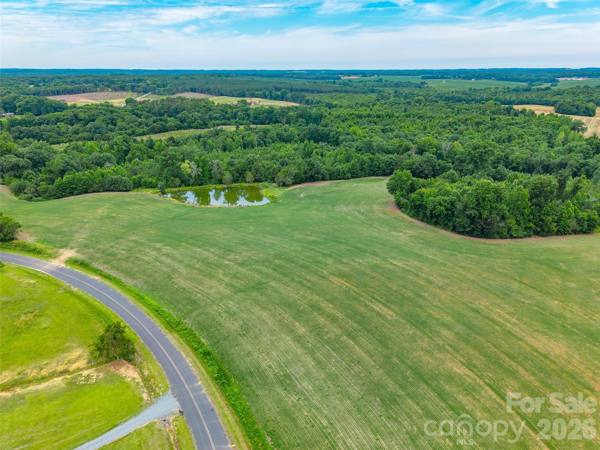 0 John Doster Road Pageland, SC 29728 - Photo 7 of 12