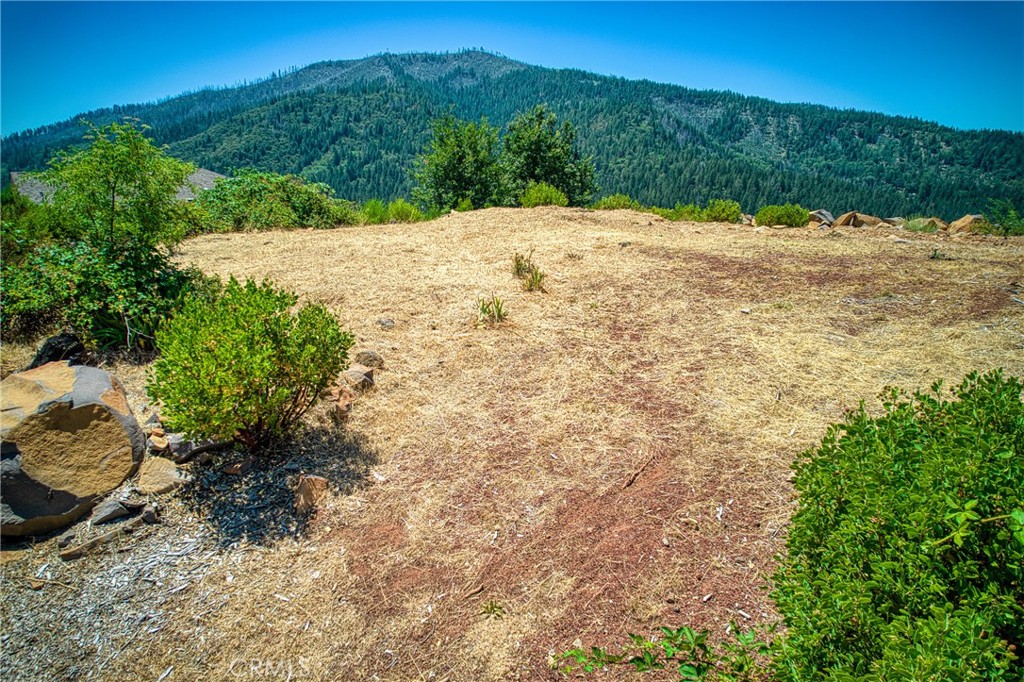 15315 Trinity Road Cobb, CA 95426 - Photo 1 of 1 a view of a backyard of the house