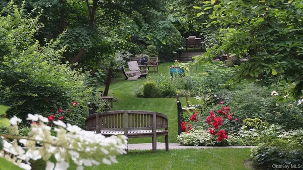 a view of a flower in a garden