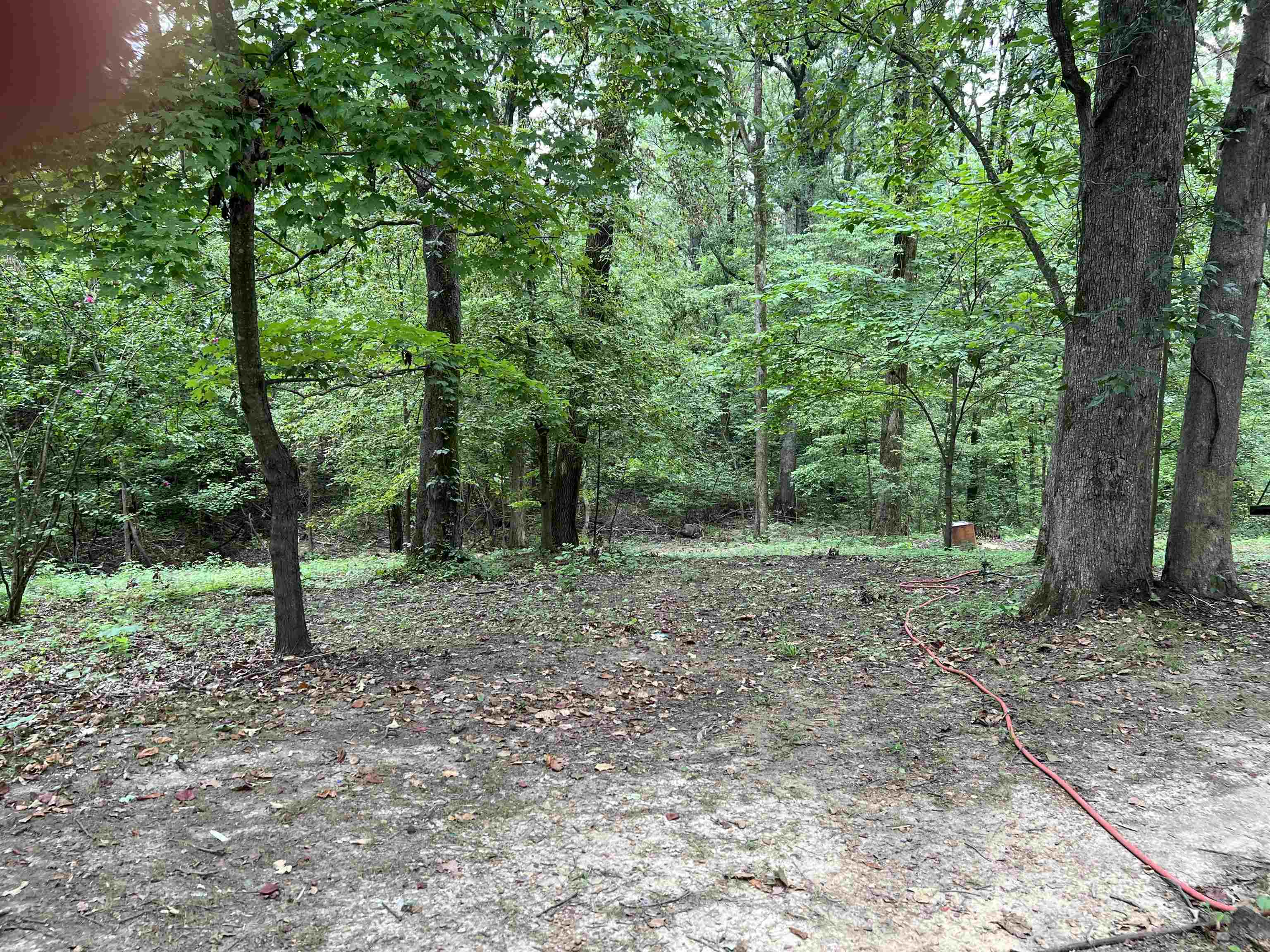 1067 Portersville Road Atoka, TN 38004 - Photo 9 of 15 Gallery Image 9