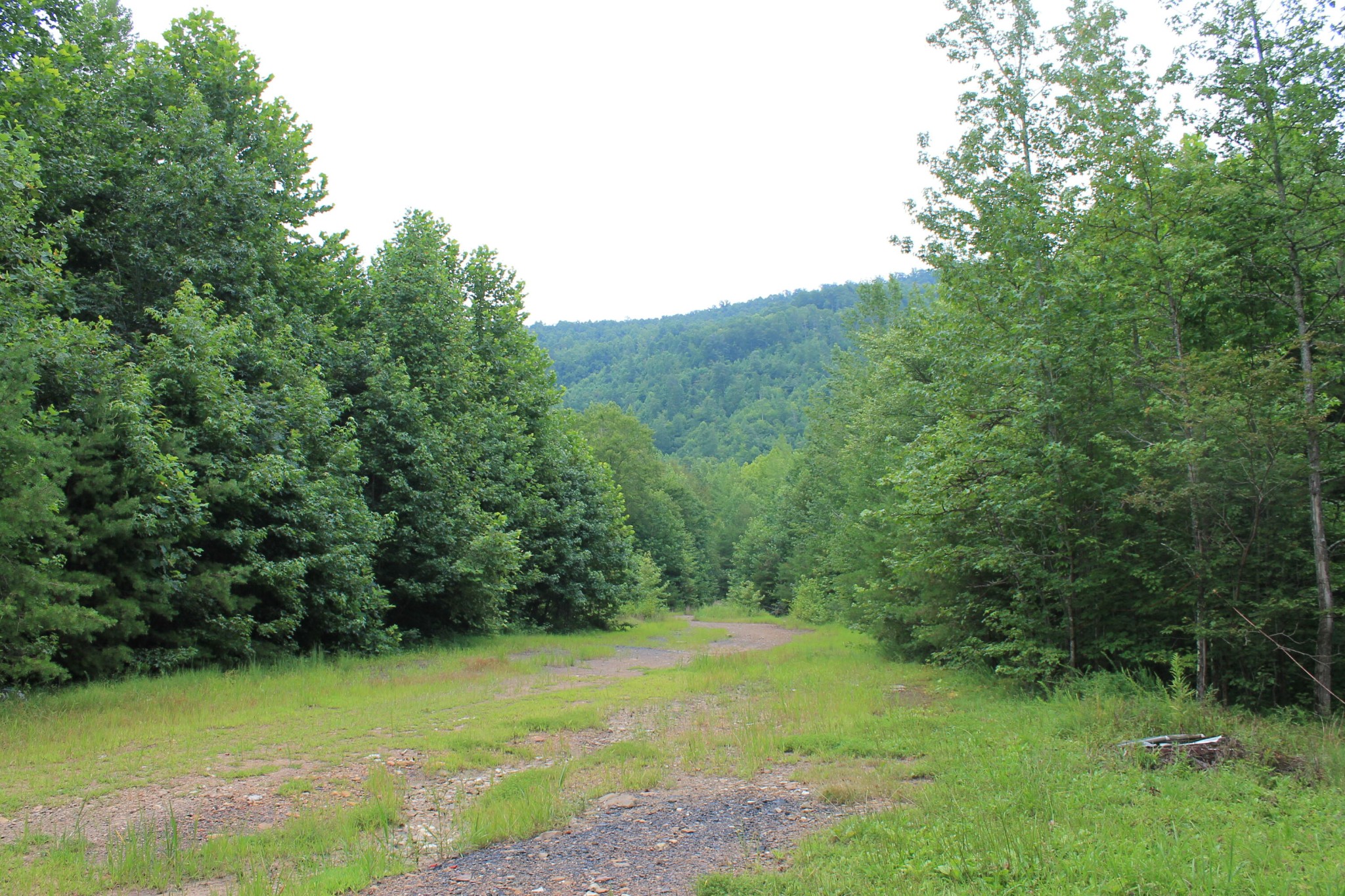 2 Straight Fork Road Huntsville, TN 37756 - Photo 11 of 13