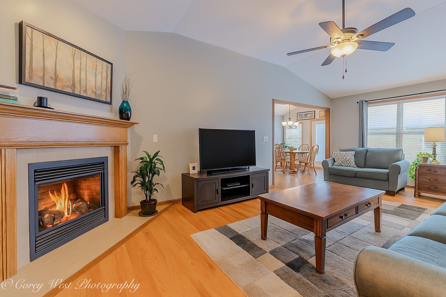 708 Nancy Court Sycamore, IL 60178 - Photo 6 of 29 a living room with furniture and a fireplace