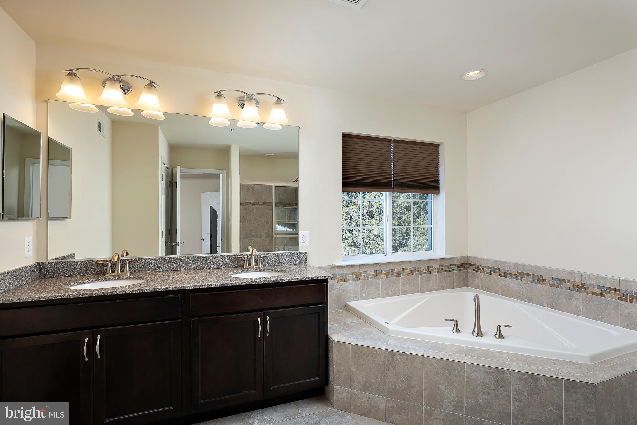 8415 Horseshoe Road Ellicott City, MD 21043 - Photo 19 of 32 Master Bathroom