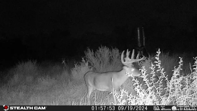 a view of swimming pool