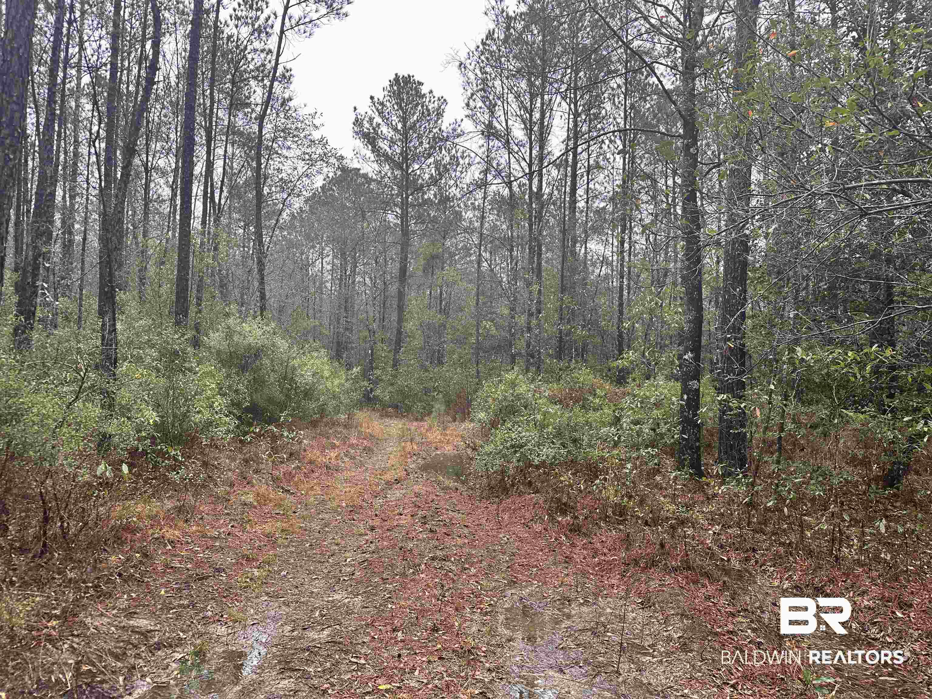 4549 J D Howard Road Tibbie, AL 36583 - Photo 27 of 33