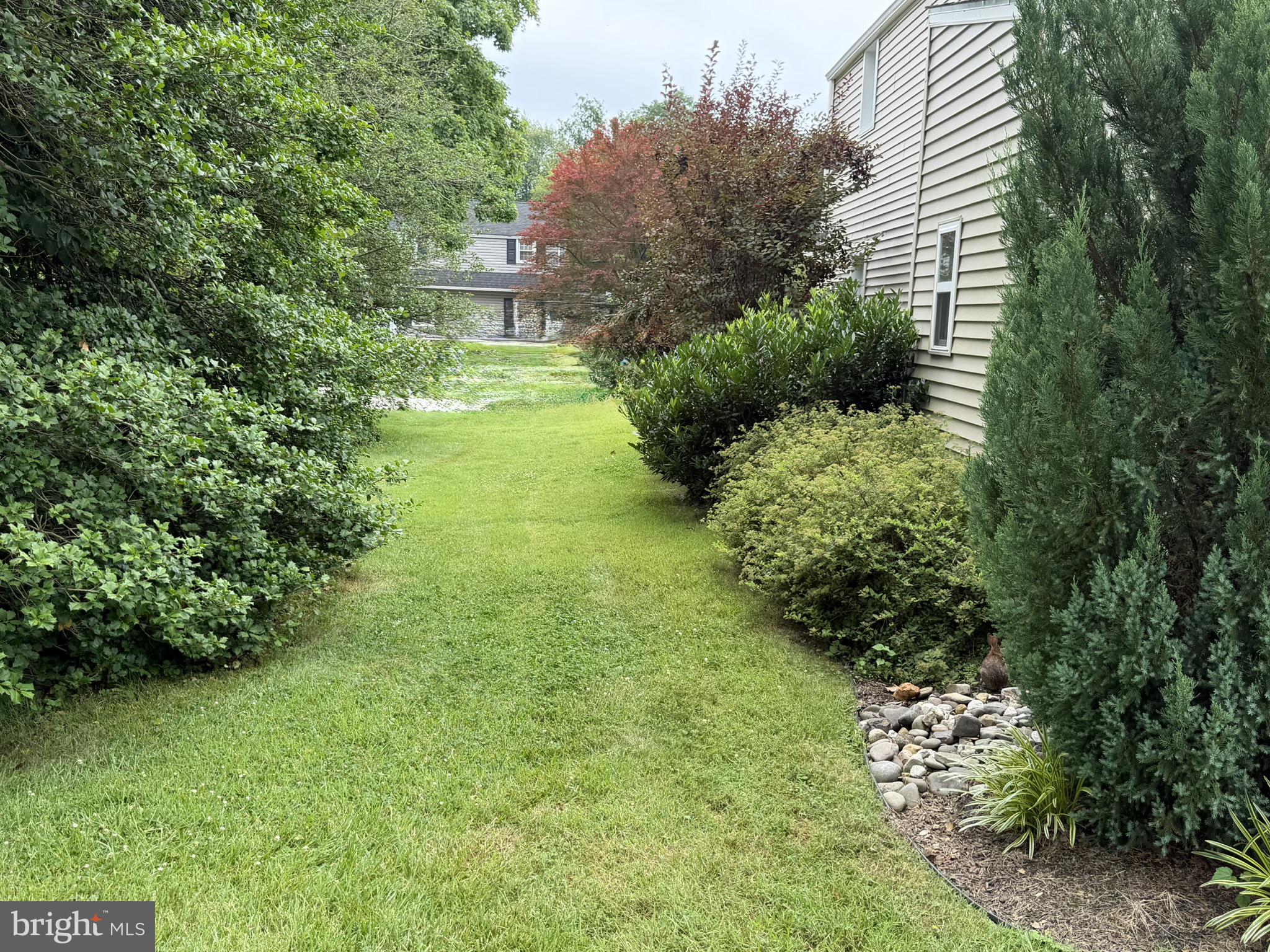 217 Lyster Road Oreland, PA 19075 - Photo 6 of 11 Lush pathway through vibrant greenery.