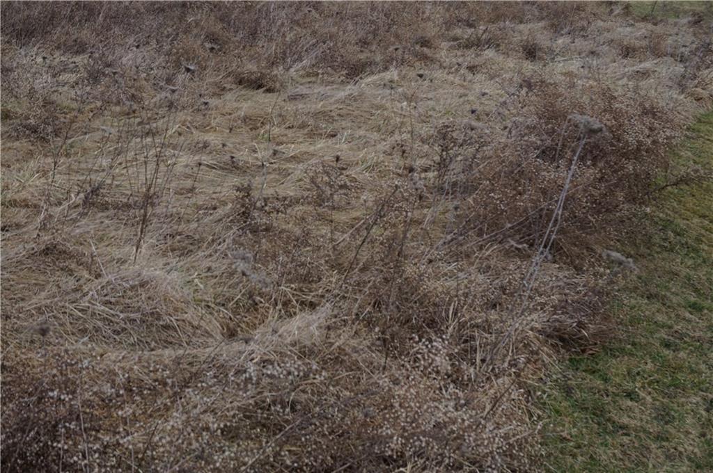 Sr-188 Jefferson Road Rices Landing, PA 15357 - Photo 13 of 15