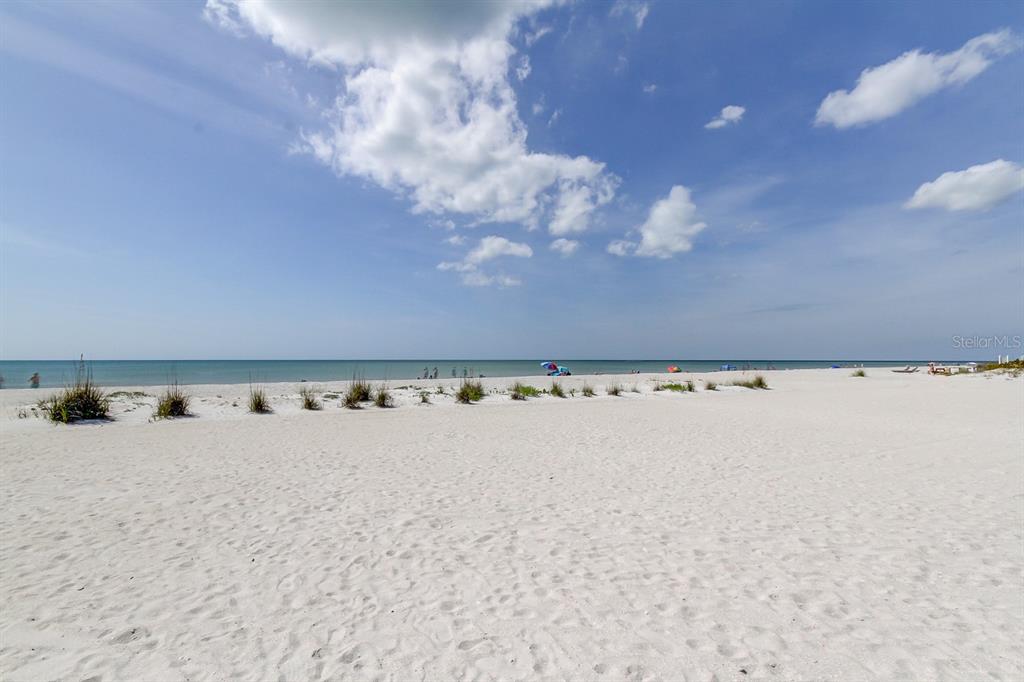 317 12th Avenue Indian Rocks Beach, FL 33785 - Photo 16 of 31 wooden floor in a room