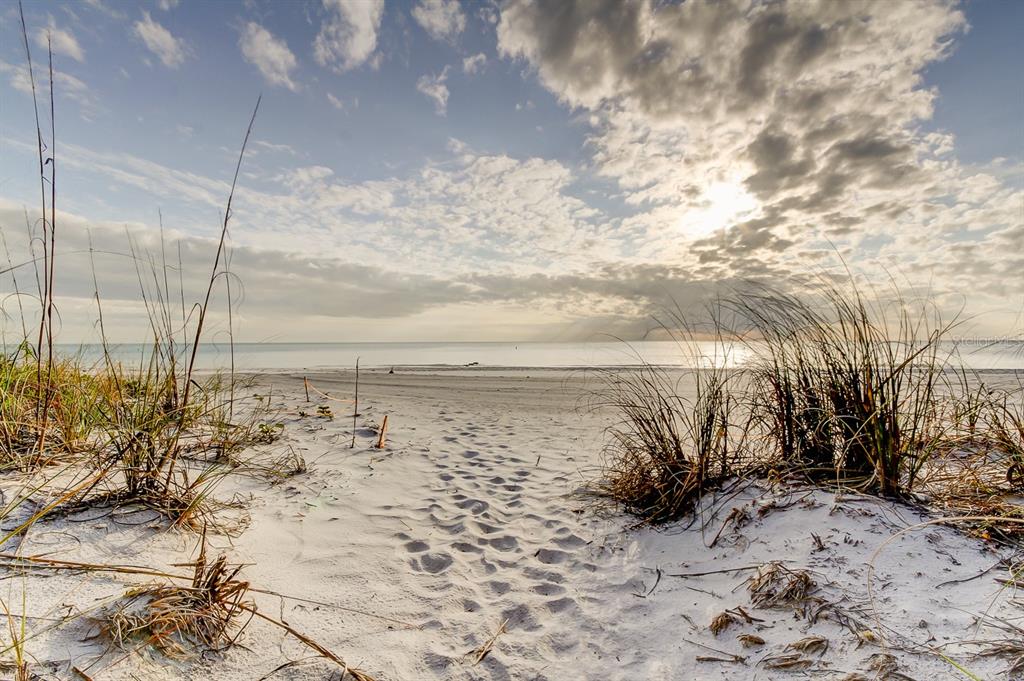 317 12th Avenue Indian Rocks Beach, FL 33785 - Photo 17 of 31 a view of ocean