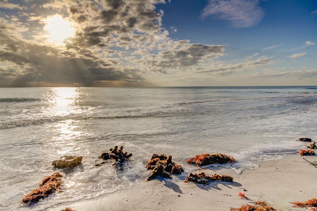 317 12th Avenue Indian Rocks Beach, FL 33785 - Photo 18 of 31 a view of a lake