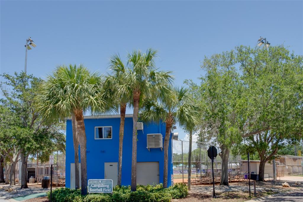 317 12th Avenue Indian Rocks Beach, FL 33785 - Photo 23 of 31 a tree in front of a brick building