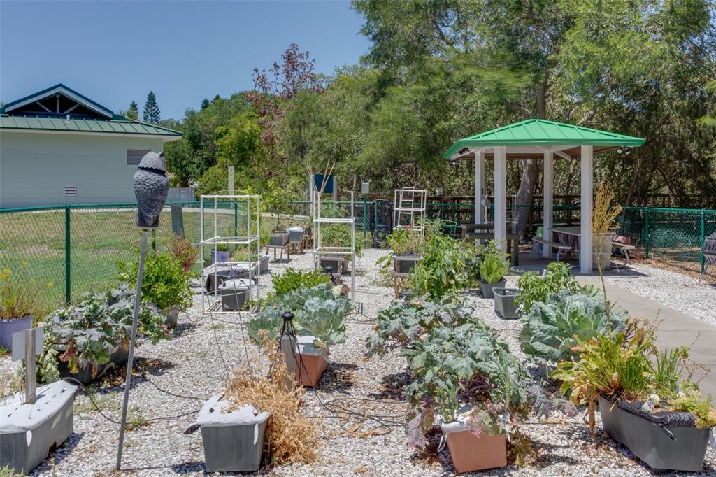 317 12th Avenue Indian Rocks Beach, FL 33785 - Photo 26 of 31 a backyard of a house with lots of green space