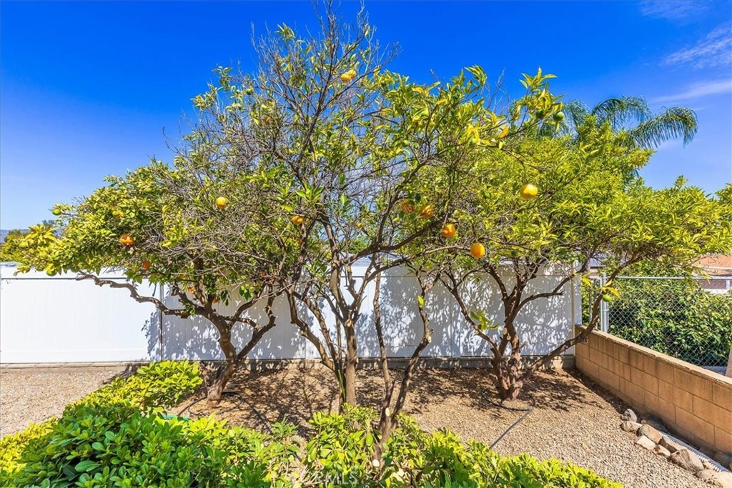 34197 Olive Grove Road Wildomar, CA 92595 - Photo 35 of 59