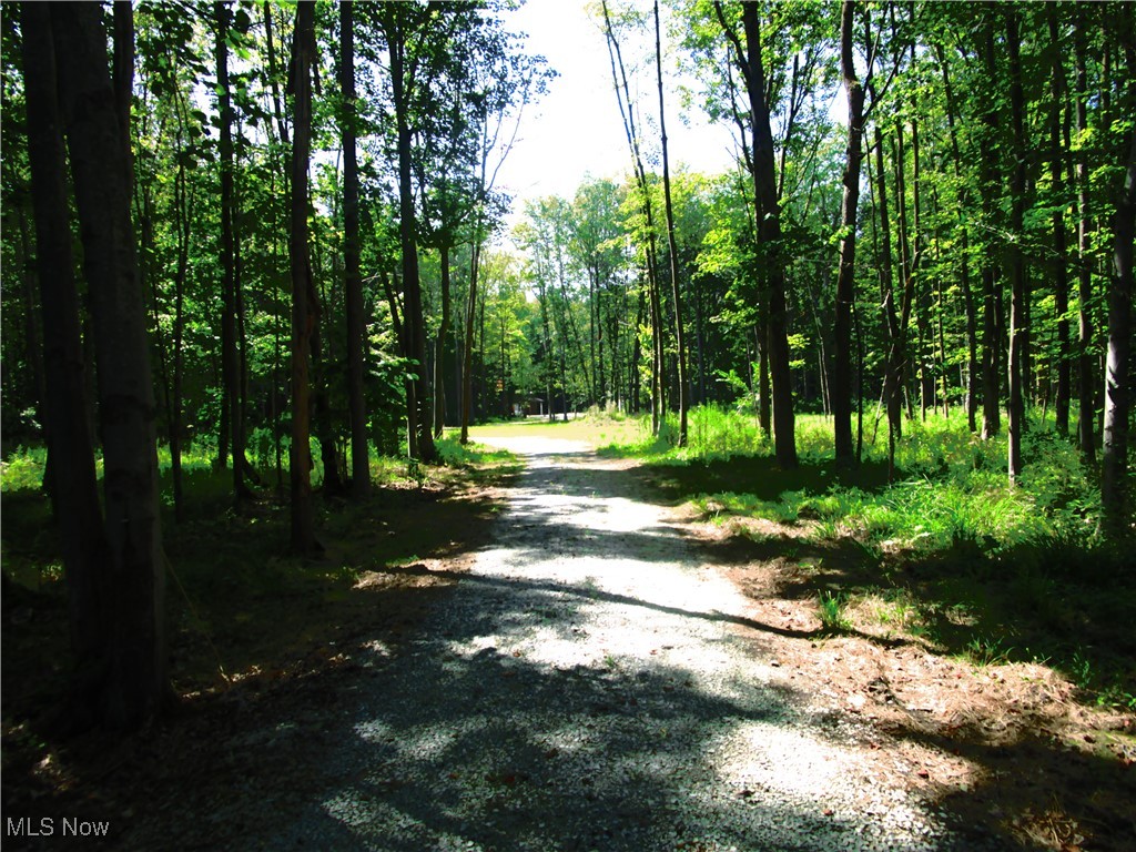 7454 Sidley Road Thompson, OH 44086 - Photo 38 of 42 Gravel driveway