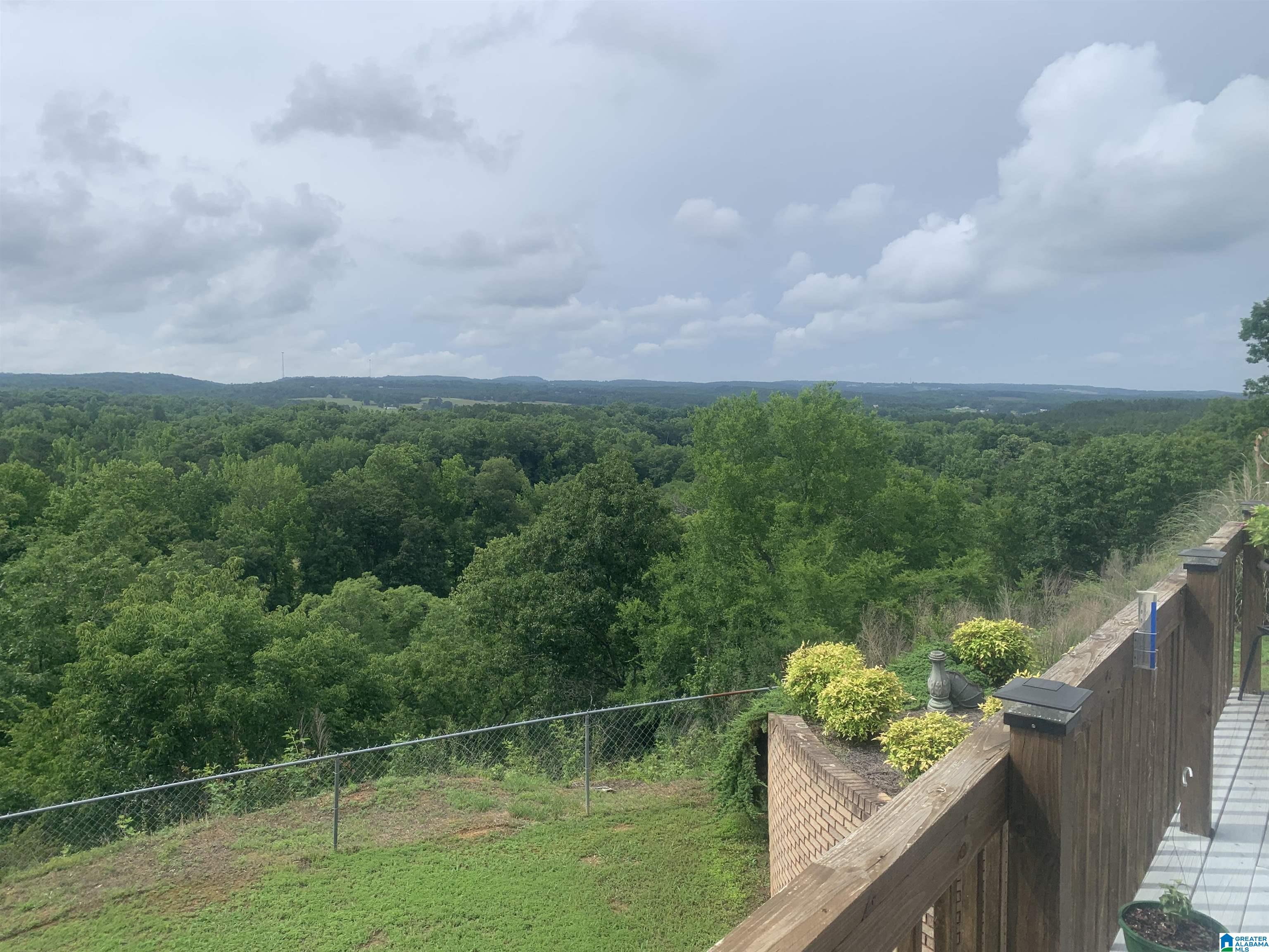 554 River Ridge Road Cleveland, AL 35049 - Photo 68 of 68
