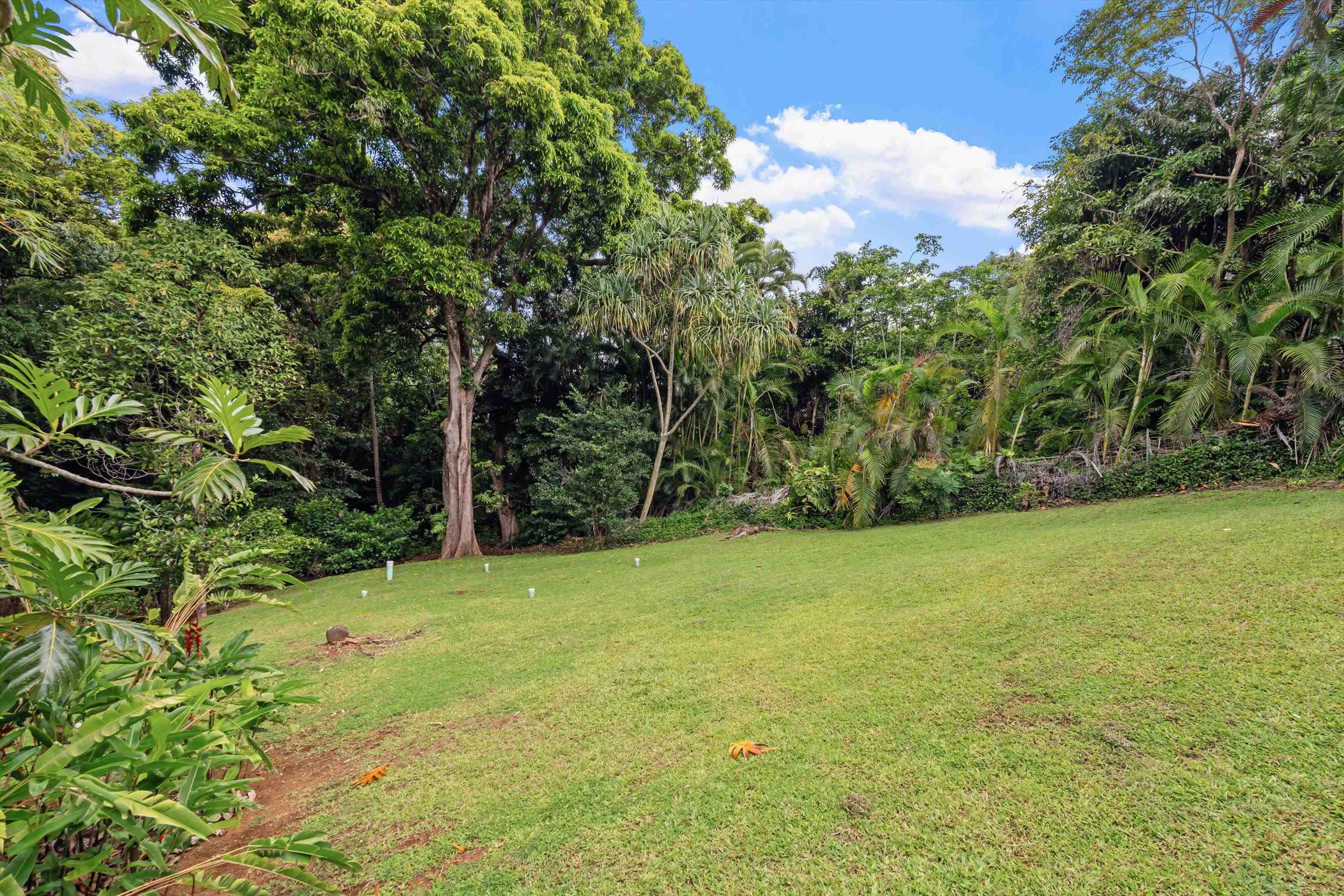 630 Hoolawa Road Haiku, HI 96708 - Photo 49 of 50