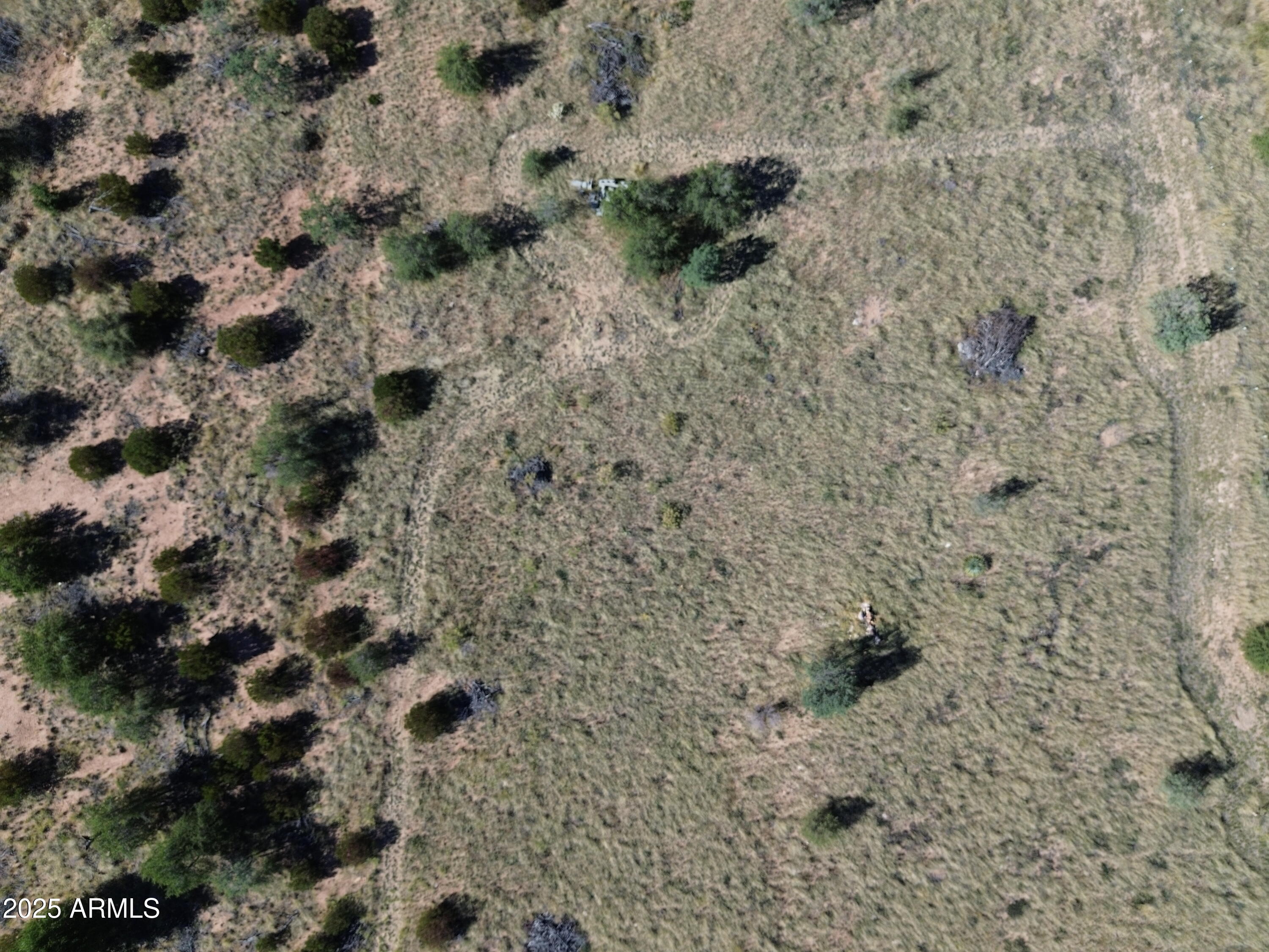 5358 East Ash Canyon Road Hereford, AZ 85615 - Photo 11 of 24 a view of a dry yard