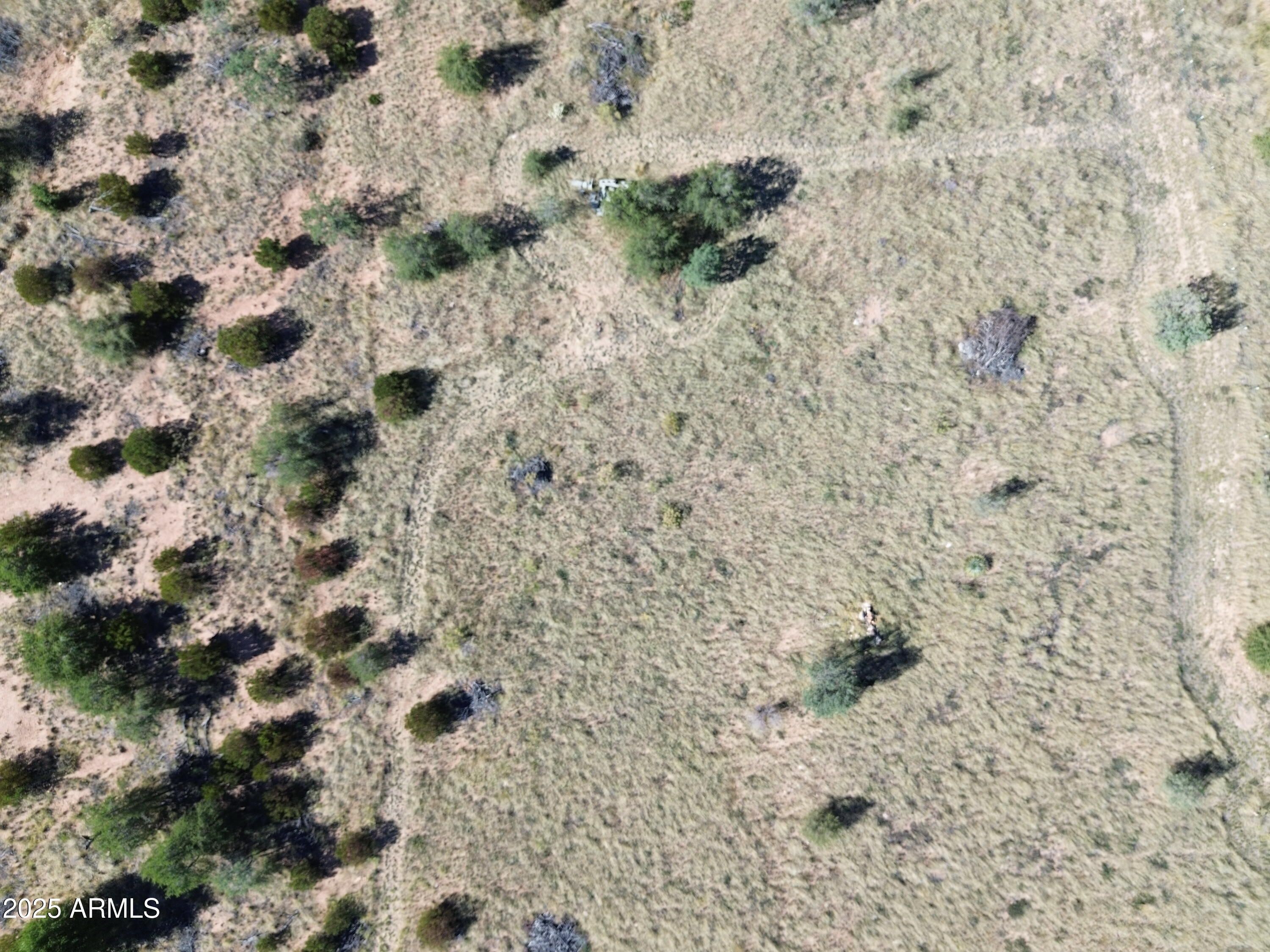 5358 East Ash Canyon Road Hereford, AZ 85615 - Photo 15 of 24 a view of a dry plant in a bathroom