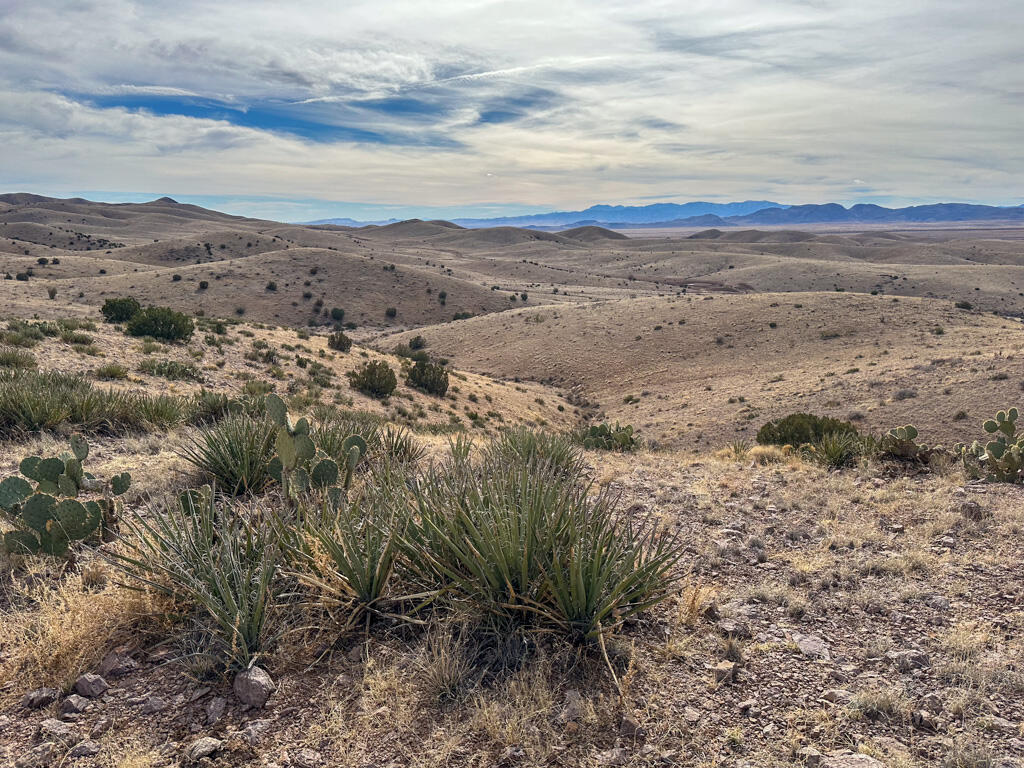 Table Mountain Road Socorro, NM 87801 - Photo 8 of 60 Gallery Image 8