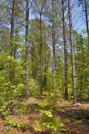 $119,900 | G G G F Ball Road, Louisburg, NC 27549