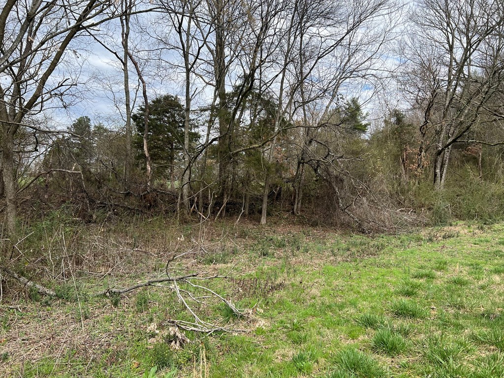 236 Loop Road Parrottsville, TN 37843 - Photo 7 of 21 Gallery Image 7