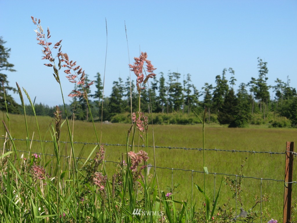 0 Cousins Road Lopez Island, WA 98261 - Photo 1 of 8