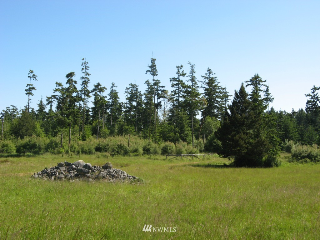 0 Cousins Road Lopez Island, WA 98261 - Photo 2 of 8