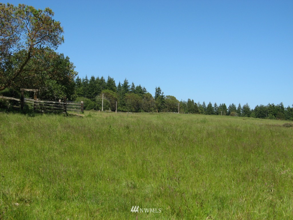 0 Cousins Road Lopez Island, WA 98261 - Photo 3 of 8
