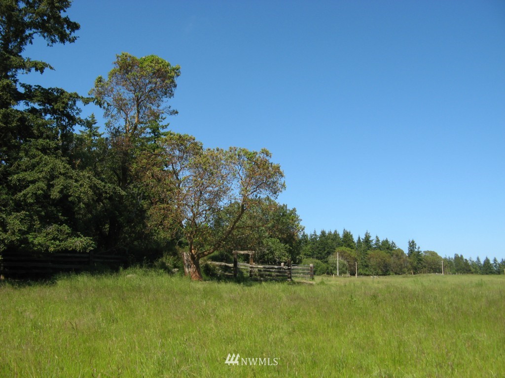 0 Cousins Road Lopez Island, WA 98261 - Photo 4 of 8