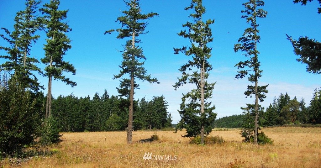 0 Cousins Road Lopez Island, WA 98261 - Photo 5 of 8