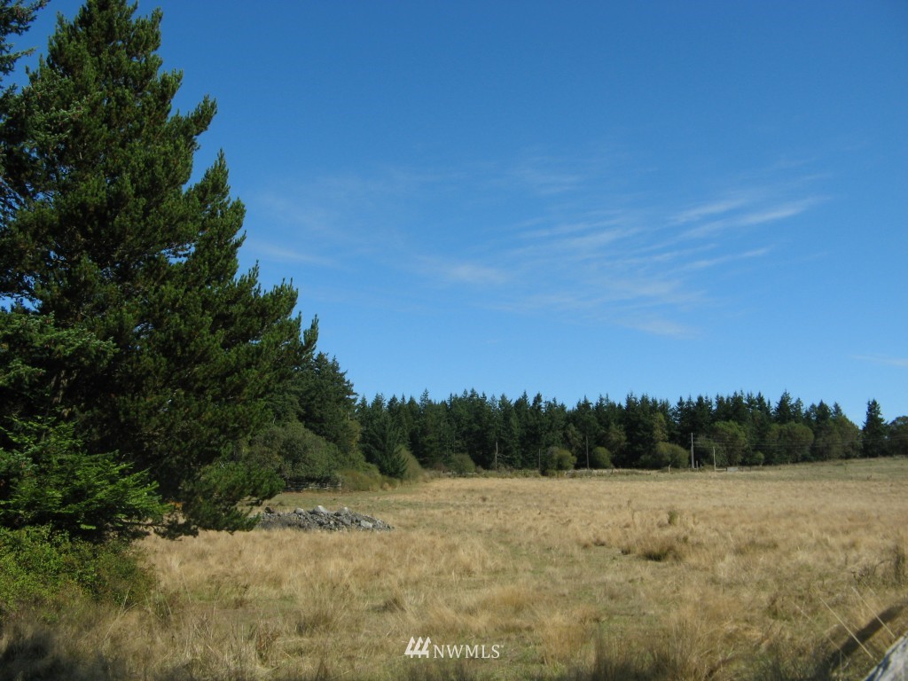 0 Cousins Road Lopez Island, WA 98261 - Photo 6 of 8