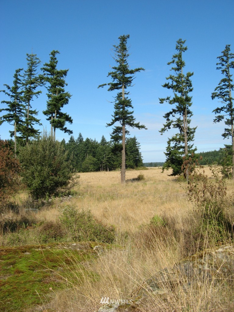 0 Cousins Road Lopez Island, WA 98261 - Photo 7 of 8