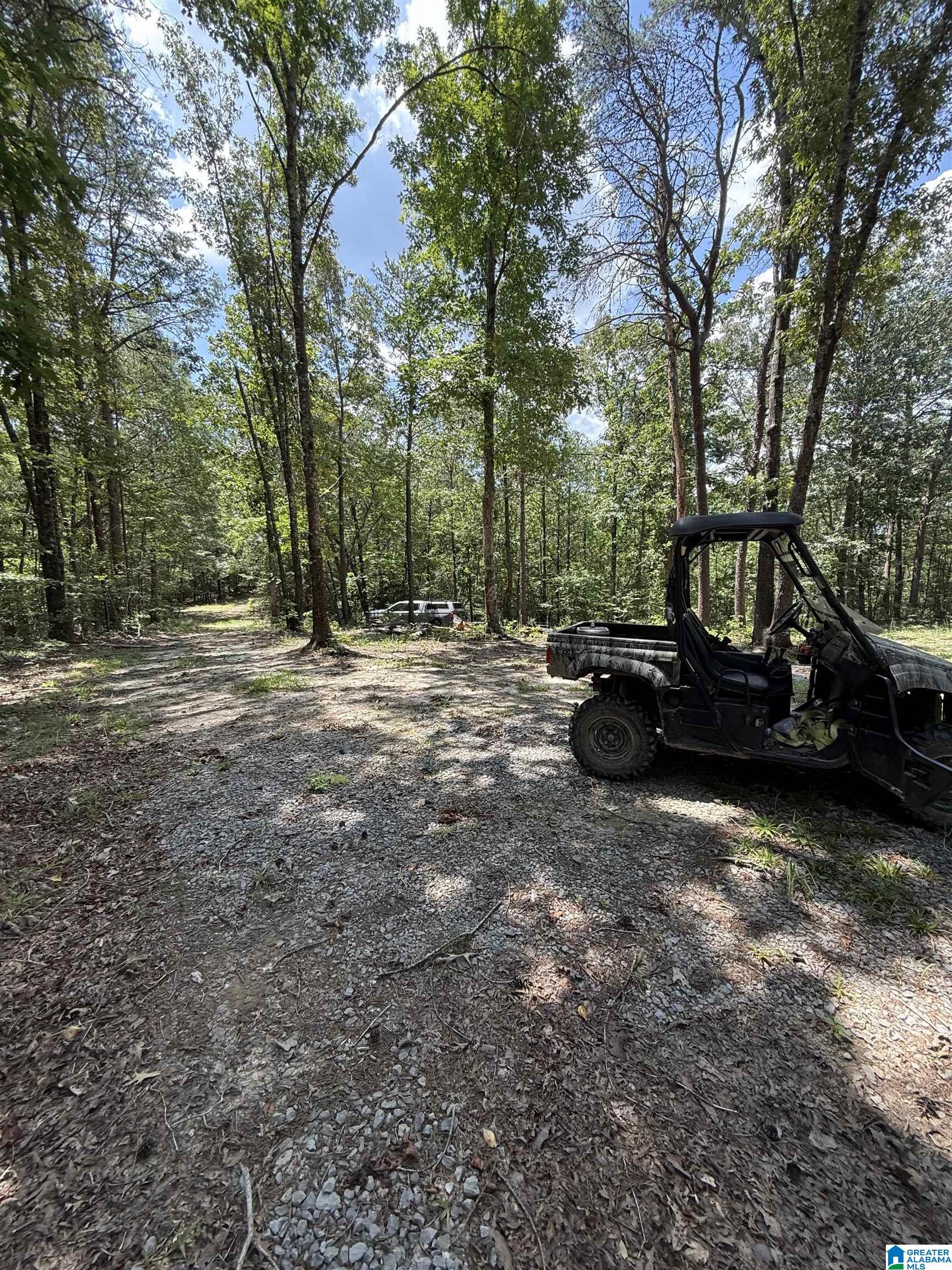 2 County Road 2, Unit 50 / ACRES Double Springs, AL 35553 - Photo 67 of 79
