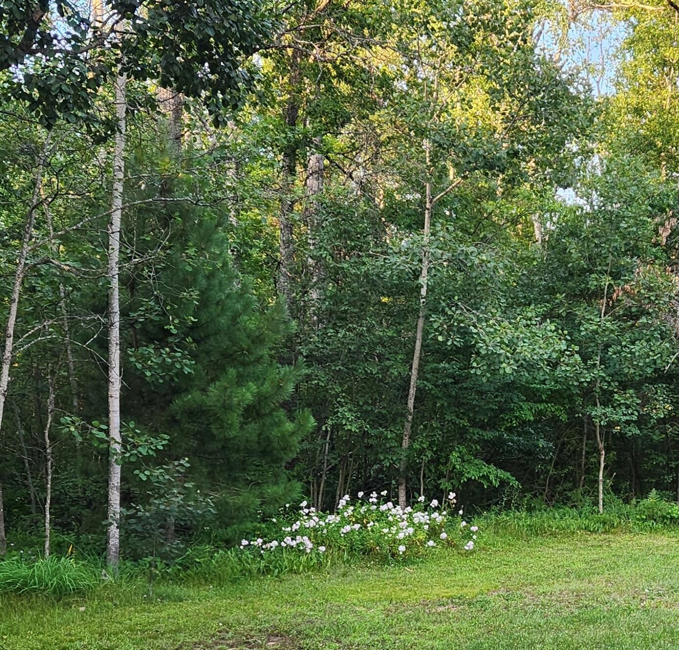 5022 Town Line Road Lewiston, MI 49756 - Photo 24 of 34 Gallery Image 24