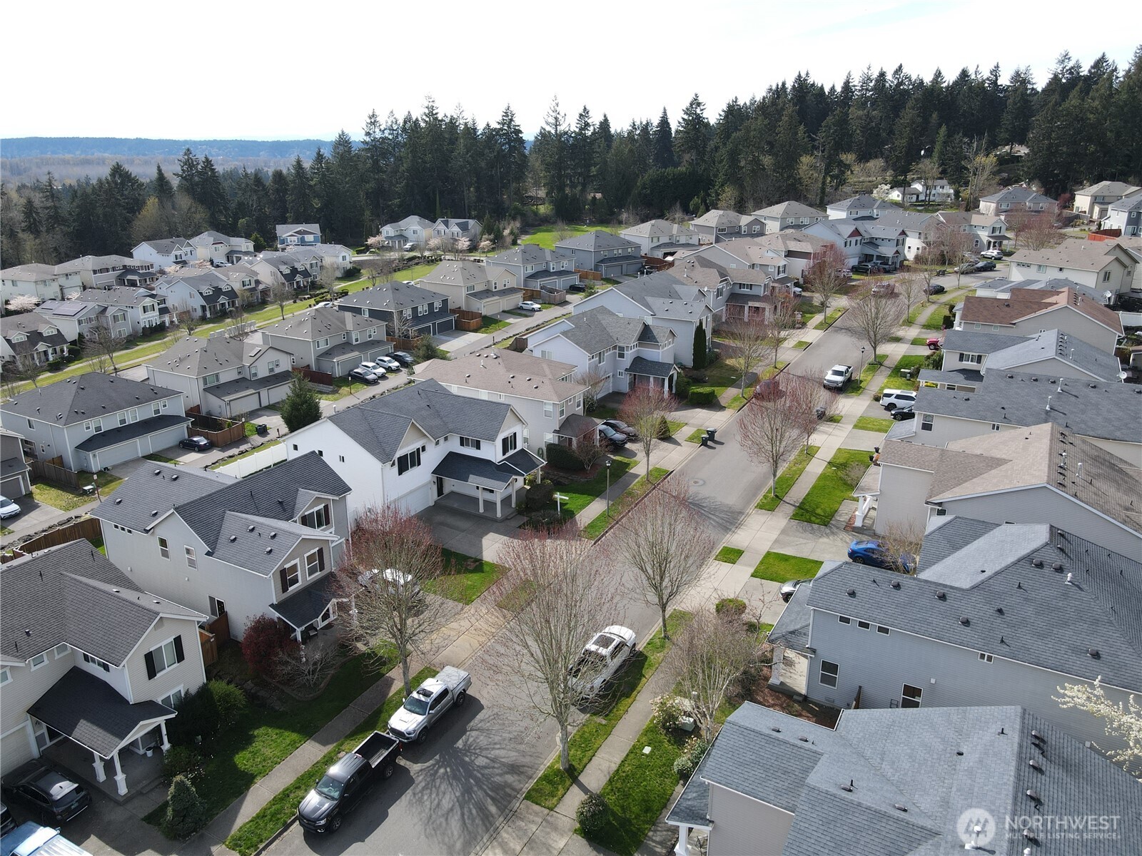 1163 Swan Loop DuPont, WA 98327 - Photo 20 of 22