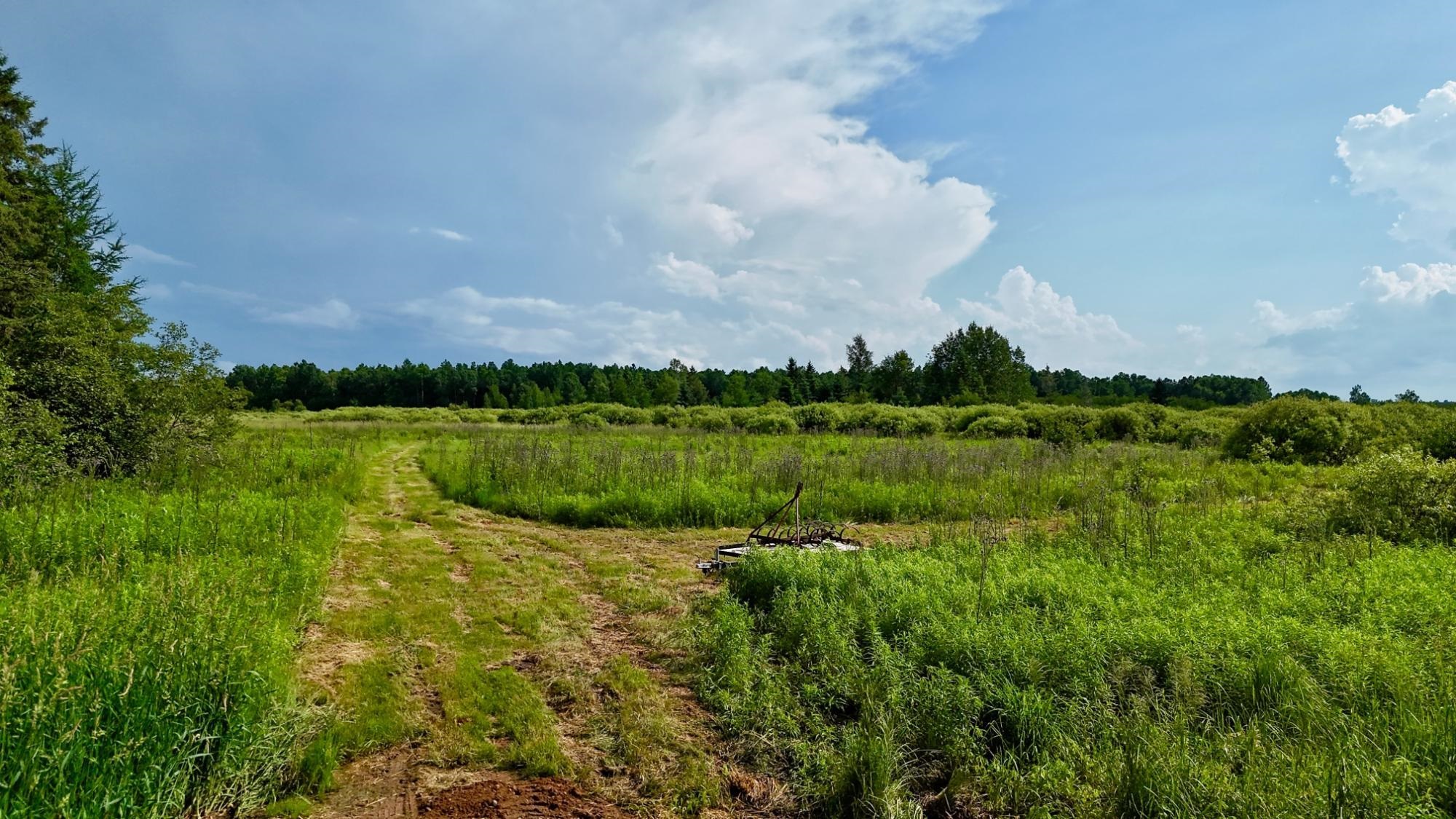 On On Rangeline Road Deerbrook, WI 54424 - Photo 5 of 22